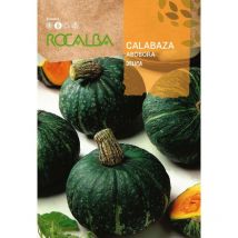 Seed calabaza celica 100G - Rocalba