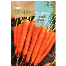 Seed carrot von Saint-Valery 100G - Rocalba