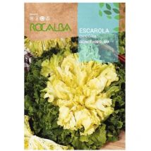Seed Giant Escarole Hort.Maraichere 500 g - Rocalba