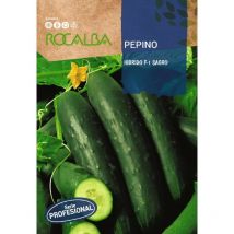 Seed gucumber sagro F-1 100G - Rocalba