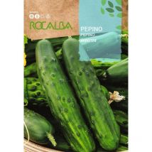Seed gucumber Vermarkter 100g - Rocalba