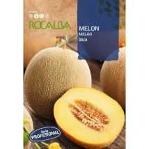 Seed melon gaul F-1 500G - Rocalba