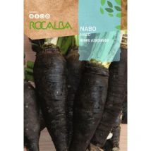 Seed nabo Negro Azucarado 100g - Rocalba