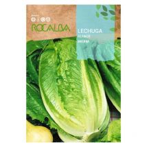 Seed roman leguga inverna 100G - Rocalba