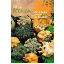 Rocalba - semilla calabaza dieci comandamenti 500g