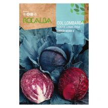 Semilla col lombarda cabeza negra 2 100g - Rocalba