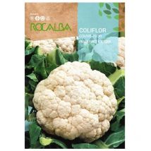 Rocalba - semilla coliflor frankfurter riesen 500g