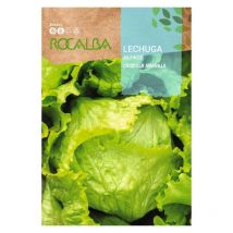Semilla lechuga crispilla amarilla 100g - Rocalba