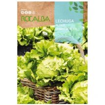 Semilla lechuga grandes lagos 118 100g - Rocalba
