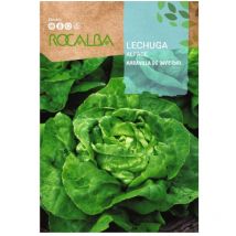 Rocalba - semilla lechuga maravilla de invierno 500g