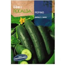ROCALBA SEMILLA PEPINO SAGRO F-1 10g, Pack 5 Sobres