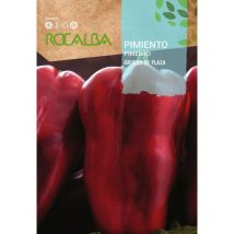 Semilla pimiento grueso de plaza 500g - Rocalba
