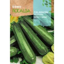 Semillas calabacin diamant F-1 10 gr, Pack 5 Sobres - Rocalba