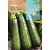 ROCALBA SEMILLAS CALABACIN VERDE MATA COMPACTA 25 gr, Pack 5 Sobres