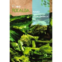 Rocalba - semillas nabo greleiro temporao (40 dias) 25 gr, Pack 5 Sobres