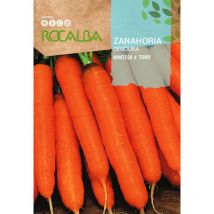Semillas zanahoria nantesa 2 'toro' 25 gr, Pack 5 Sobres - Rocalba