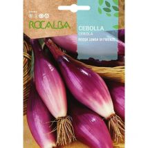 Zwiebel Rossa Lunga di Firenze 4G - Rocalba