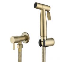 Starlight - Rociador de inodoro para bidé de acero inoxidable, kit de rociador de bidé, rociador de grifo para inodoro (dorado)