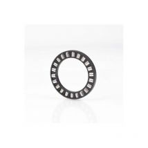 Picard - Rodamiento de rodillos cilíndricos axial od 155mm id 120mm 0283kg ina