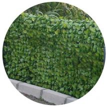 Rodillo de seto artificial Jet7garden 1x3m - verde suave - hojas de rosa