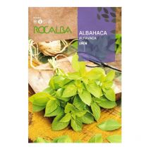 Rokalba Albahaca Limon Blle 2G Samen