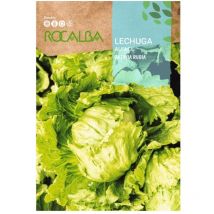 Rokalba Lechuga Batavia Rubia 6G