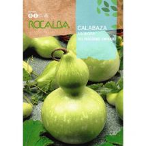 Rokalba Pumpis Betonung 'des Pilgers' 3g