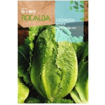 Rokalba -Samen Lechuga Parris Island cos 100g