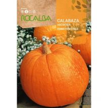 Rokalba -Samen Pumpleticut Field 100g Samen