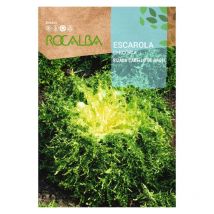 Rokalba Samen Ringte es Escarla Ange 500G Haare