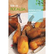 Rokalba -Seed -Auberginen Carina 500G