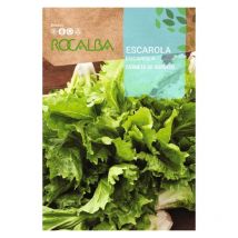 Rokalba Seed Bordeaux Cornet Crowth 500g