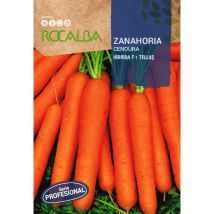 Rokalba Seed Carrot Tellus F-1.500G