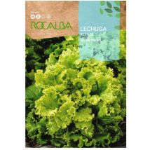 Rocalba - Rokalba Seed Lechuga Grand Rapids 500g