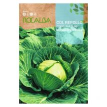 Rokalba Semilla Col Rebollo Merc.de Kopenhagen 2 100g