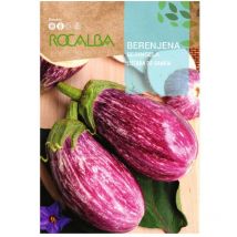 Rokalba stte Berenjena Samen von Gandia 10 g