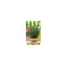 Romarin Officinal - 0,1g