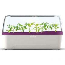 Boqube l plus Gewächshaus & Pflanzkasten-System 41x17x23cm mit Belüftung weiß/pflaume - Romberg