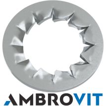Rondella dentellata interna mm. 5 – Zincato – AMBROVIT
