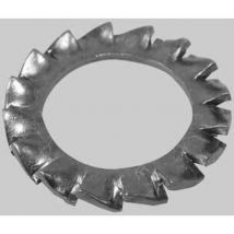 Rondella dentellata esterna M8