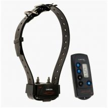 Ensemble dressage a distance canicom 200