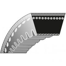 Rl 301 Vertikutierer Innenzahnriemen K306030047 - Roques Et Lecoeur