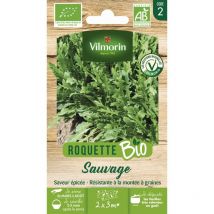 Roquette Sauvage - bio