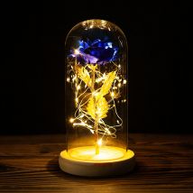 Rose Galaxie en Verre avec Lumière led, Anniversaire Saint Valentin Anniversaire de Mariage