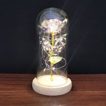 Rose galaxie en verre avec lumière led Cadeau rose coloré pour la fête des mères
