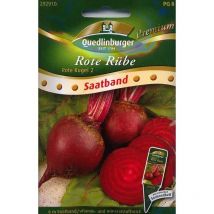 Quedlinburger Rote Rübe Rote Kugel 2 Saatband - Premium Gemüsesamen