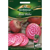 Quedlinburger Rote Rübe Chioggia - Premium Gemüsesamen