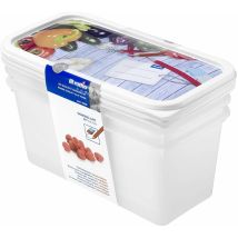 Rotho 1755410237 Contenitori Da Freezer Domino – Scatole Salva Aroma Con Etichetta Sul Coperchio – Set Di 3 Contenitori Per Alimenti Privi Di Bpa – 