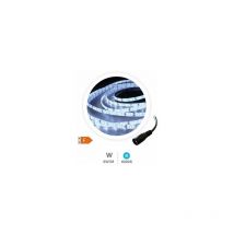Rotolo 5M striscia led (6W) 6000K-6500K IP44 24V