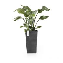 Rotterdam 56 Pentola Alta Grigio Scuro - 31 x 31 x H. 56 cm - 36,2 L ECOPOTS
